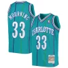 Alonzo Mourning Charlotte Exclusif Hornets Youth 1992/93 Hardwood Classics Swingman Jersey Teal
