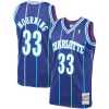 Alonzo Mourning Charlotte Hornets Exceptionnel 1994/95 Hardwood Classics Swingman Jersey Purple