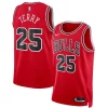 Dalen Terry Chicago Bulls Uniques Nike Unisex 2022 NBA Draft First Round Pick Swingman Jersey Icon Edition Red