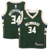 Giannis Antetokounmpo Milwaukee Bucks Nike Preschool Swingman Exceptionnel Player Jersey Icon Edition Hunter Green