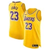 LeBron James Authentique Los Angeles Lakers Nike Authentic Jersey Icon Edition Gold