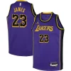 LeBron James Los Angeles Lakers Jordan Brand Youth Performance Swingman Jersey Collectible Statement Purple