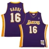 Pau Gasol Los Angeles Lakers 2009/10 Hardwood Classics Collectible Swingman Jersey Purple