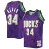 Ray Allen Gracieux Milwaukee Bucks Hardwood Classics 2000/01 Lunar New Year Swingman Jersey Purple