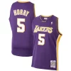Robert Moderne Horry Los Angeles Lakers 1999/00 Hardwood Classics Swingman Jersey Purple