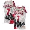 Toni Kukoc Chicago Bulls Hardwood Classics 1995/96 Hyper Hoops Swingman Collectible Jersey White